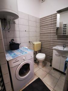 a bathroom with a washing machine and a toilet at Rajski vrt in Crikvenica