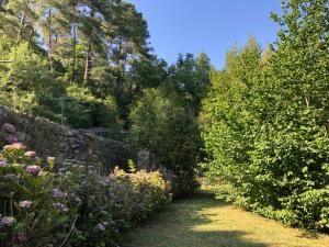 Κήπος έξω από το Casita Linda - mas en pleine nature +17 φωτογραφίες