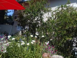 un jardín con flores y una sombrilla roja en San Benito de Palermo en San Carlos de Bariloche