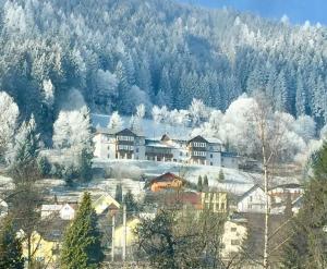 a group of buildings on a hill with snow covered trees at Panorama Lambach Appartament in Mürzzuschlag