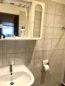 a bathroom with a sink and a mirror at Panorama Lambach Appartament in Mürzzuschlag +8 photos