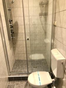 y baño con ducha y aseo. en Panorama Lambach Appartament, en Mürzzuschlag