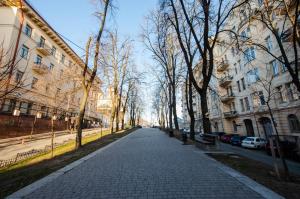a cobblestone street in a city with trees and buildings at Smart Apartment in Kyiv Center in Kyiv