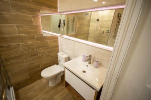 a bathroom with a toilet and a sink and a mirror at Smart Apartments in Kyiv Center in Kyiv