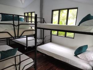 Двухъярусная кровать или двухъярусные кровати в номере Uvita Pirates Hostel