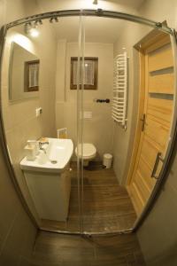 a bathroom with a shower and a sink and a toilet at Domki pod Skocznią in Zakopane