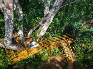a person sitting on a bench in the woods at Sweet Songs Jungle Lodge in San Ignacio
