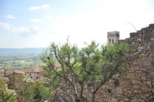 Foto dalla galleria di Vico Del Poeta ad Assisi