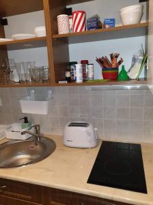 a kitchen counter with a sink and a toaster at Relax Apartman Veresegyház in Veresegyház