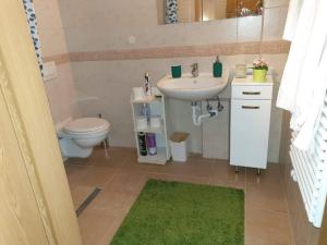 ein Bad mit einem Waschbecken und einem WC in der Unterkunft Relax Apartman Veresegyház in Veresegyház