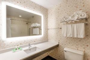 a bathroom with a sink and a mirror and a toilet at Holiday Inn Philadelphia South-Swedesboro, an IHG Hotel in Swedesboro