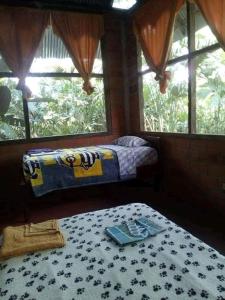 a bedroom with a bed and a table and windows at Misahualli Laguna Paikawe B&B in Puerto Misahuallí