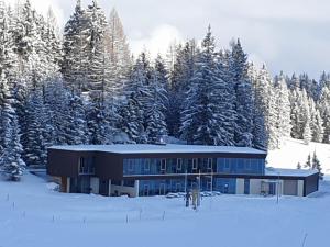 a building in the snow with snow covered trees at Höss-Alpin-Lodge in Hinterstoder
