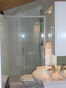 Ένα μπάνιο στο Ferienhaus Kamin +21 φωτογραφίες