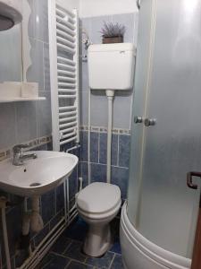 a small bathroom with a toilet and a sink at privatni smestaj Dobri in Bujanovac