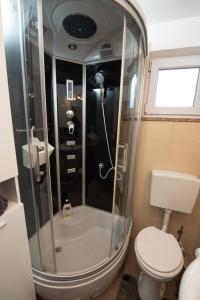 ein Bad mit einer Dusche und einem WC in der Unterkunft Apartman Slavica in Rijeka