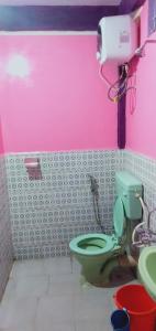 a bathroom with a green toilet and a pink wall at Shalom guest house in Cherrapunji