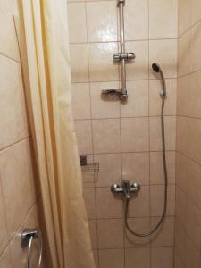 a shower with a shower curtain in a bathroom at Studio za 2 osobe- LIJANA in Tučepi +4 photos