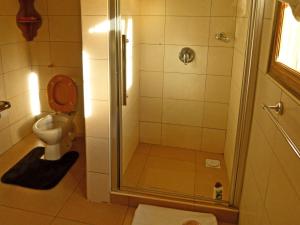 a bathroom with a toilet with a glass shower stall at Milimani Cottages in Usa River