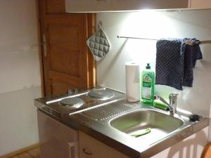 eine Küchentheke mit Spüle und Geschirrspüler in der Unterkunft Ein Platz für Ruhe und Naturgenuss in Sebnitz + 32 Fotos