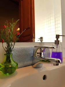 a sink with a faucet and a vase with flowers at Helicon Muses Friendly Mountain B&B Guesthouse in Evangelístria