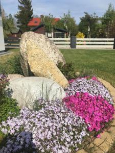 a bunch of flowers in a garden with a rock at Lawendowo Mi in Kopalino