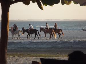 a group of people riding horses on the beach at Wind e Blue in Jericoacoara