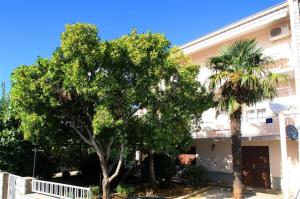 Fotografie z fotogalerie ubytování Apartment in Crikvenica 39232 v destinaci Crikvenica