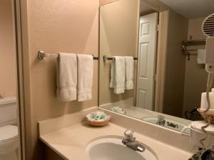 ein Bad mit einem Waschbecken und einem Spiegel in der Unterkunft Hardman House in Carson City