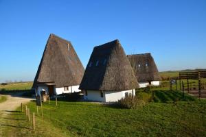 a group of houses with thatched roofs in a field at La Casetta in Santa Margherita