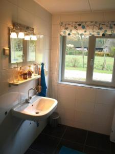 baño con lavabo y ventana en Boerderij het Reestdal, en Linde