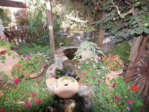 Φωτογραφία από το άλμπουμ του Bar Manor אחוזת בר σε Sha'al