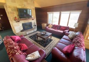 a living room with two couches and a fireplace at Camelot in Dinner Plain