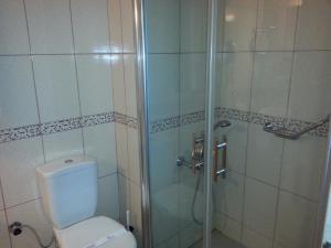 a bathroom with a shower and a toilet at Avlonya Hotel in Istanbul +20 photos