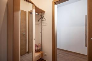 een badkamer met een spiegel en een inloopdouche bij Appartement Sophie in Söll