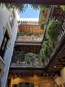 Balkón alebo terasa v ubytovaní Corazón del Puerto de Santa María