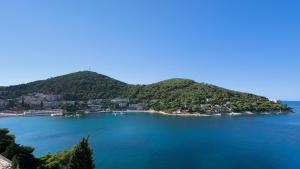 an island in the middle of a large body of water at Hotel Vis in Dubrovnik