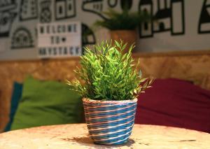 Posezení v ubytování Haystack Hostel