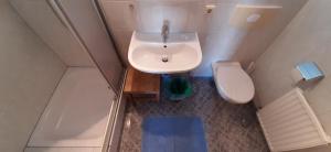a small bathroom with a sink and a toilet at Hochleiten-Gut in Niedernsill +75 photos