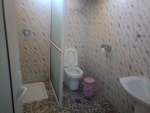 bagno con servizi igienici e lavandino di Honey Land Hotel Lalibela a Lalībela