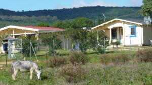 Zdjęcie z galerii obiektu Maryvacas Rural w mieście Zahara de los Atunes +12 zdjęć