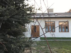 Płock by day في بلوك: منزل أمامه شجرة عيد الميلاد