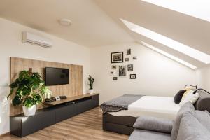 Gallery image of FLEXIHOME SK - Komenskeho - private parking spot - ultra modern and stylish in Košice