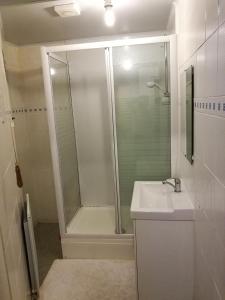 エディンバラにあるClerk Street Apartmentの白いバスルーム(シャワー、シンク付)