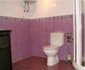 Baño de azulejos púrpura con aseo en Apartamentos El Castañar, en Hervás
