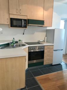 a kitchen with a sink and a stove and a microwave at Apartment Jasmine in Passail