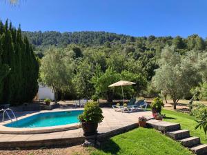 una piscina en un patio con patio y árboles en Finca Can Trui en Pollença