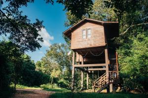a tree house in the middle of the forest at Sigiriya King's Resort in Sigiriya