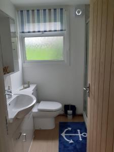 a bathroom with a toilet and a sink and a window at 13 The Park in Kilkhampton