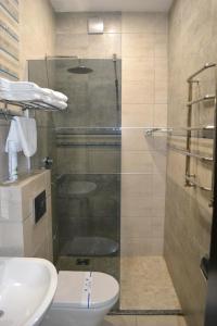 a bathroom with a shower and a toilet and a sink at Hotel Complex Dvir Kniazhoiy Korony in Slavske